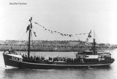 Sch 36 Jacoba Gezina